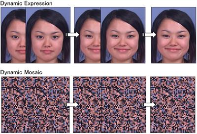 Behavioral and neural underpinnings of empathic characteristics in a Humanitude-care expert